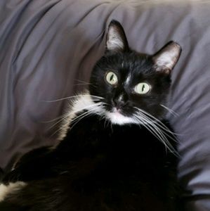 Meet your Posher, Lainey